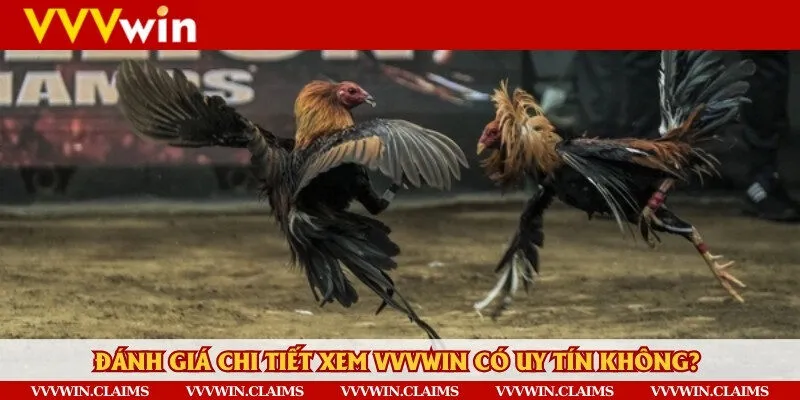 Hãy ưu tiên lựa chọn những nhà cái uy tín cung cấp dịch vụ đá gà thuận tiện