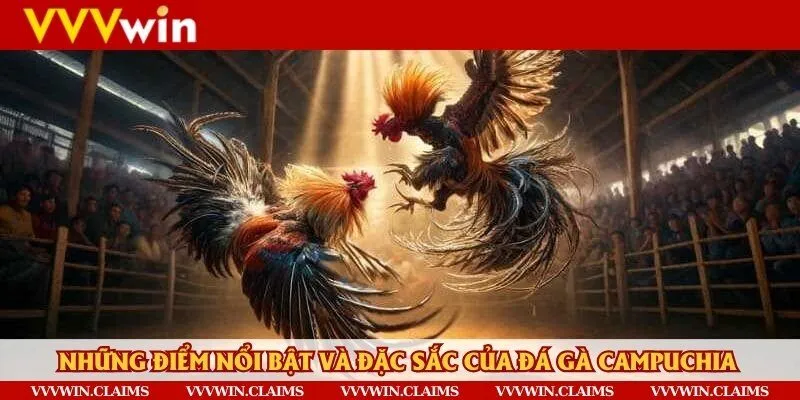 Tìm hiểu các đấu trường, loại kèo cược hấp dẫn